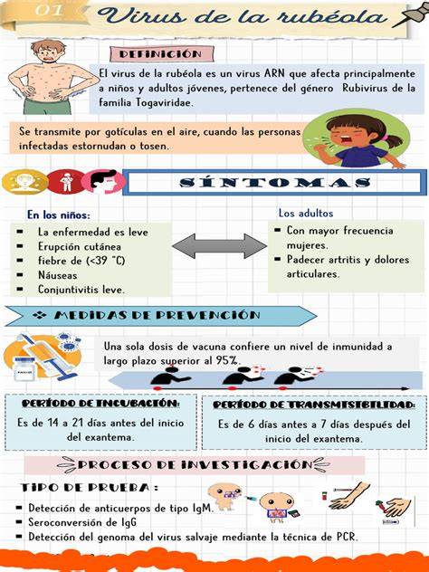 Infografic: cum se transmite rubeola