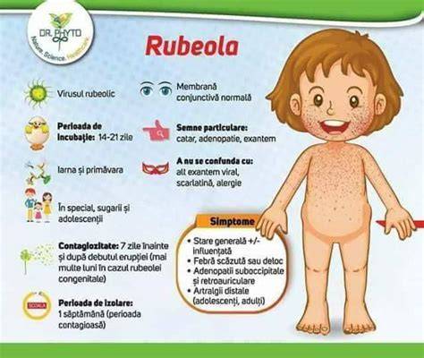 Diagrama comparativă: rubeolă vs. rujeolă