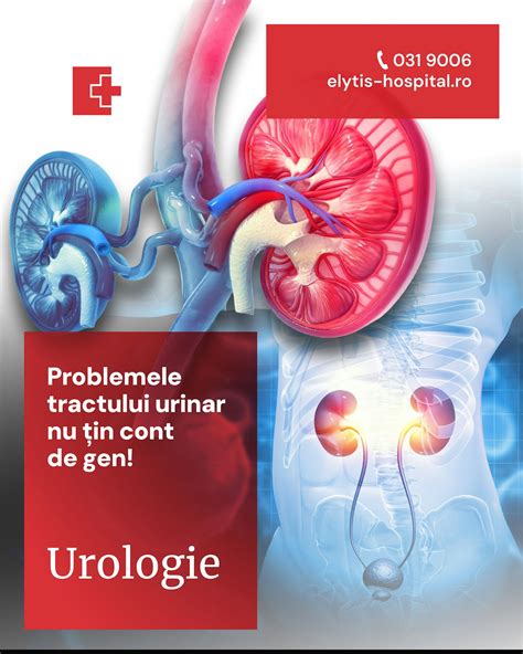 Infografic: Blocajul tractului urinar și fluxul de urină
