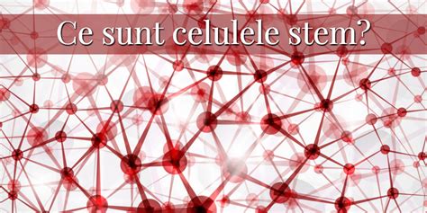 Infografic despre celulele stem