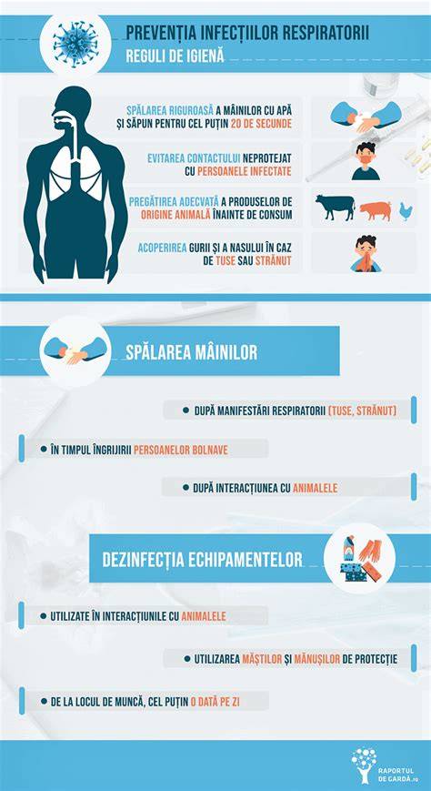 Infografic: cum se transmite sunetul prin lichidul amniotic