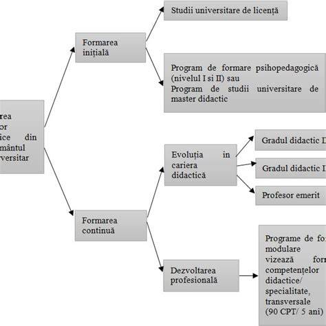 Grafic explicațional: traseul formării unui pediatru de top