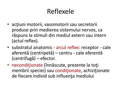 Infografic reflexe arhaice la sugarii: succesiune, vârste, și impact asupra dezvoltării motorii