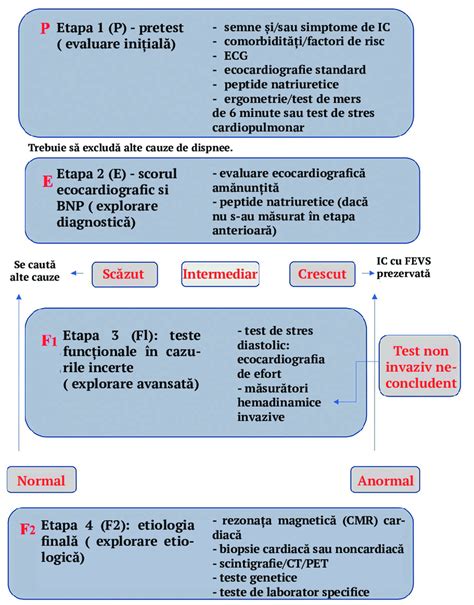 Infografie: algoritm de diagnostic pediatric