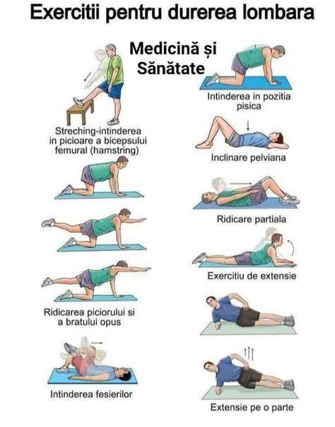 Grafice comparative: tipuri de exerciții recomandate în sarcină și nivelul de siguranță