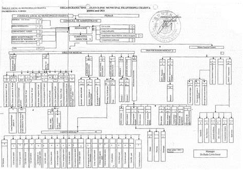 Infographic: organigrama echipei Spitalului Filantropia Craiova