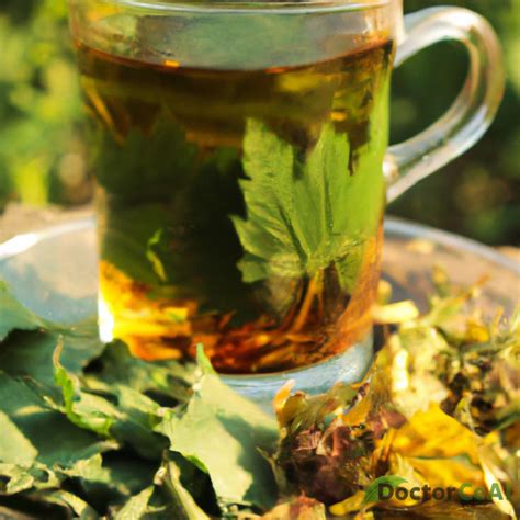 Plante medicinale utilizate în ceaiul Hapciu