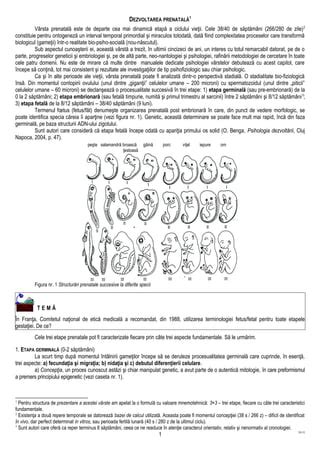 Figura 1: Interfața materno-fetală și etapele influenței imunitare