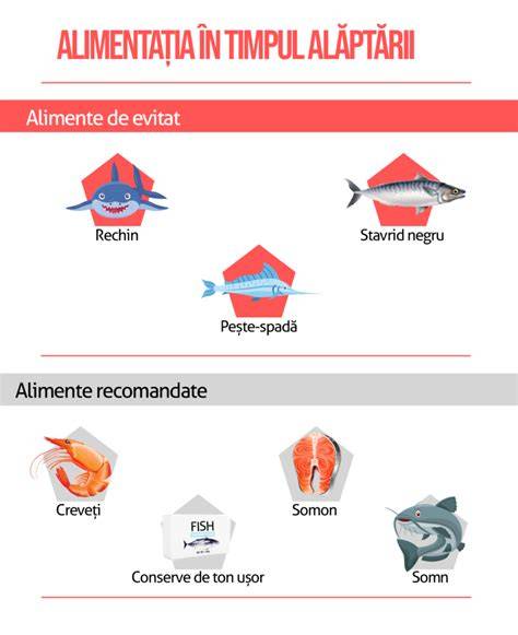 Infografic general despre alimentația în timpul alăptării: alimente permise, interzise și beneficii