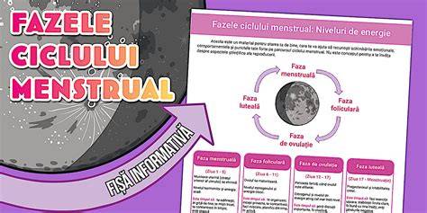 Infografic: Fereastra fertila a ciclului menstrual