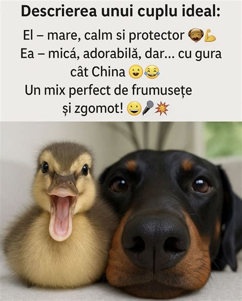 Cuplu discutând calm
