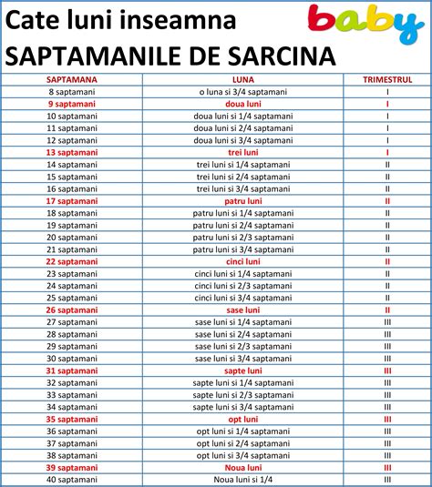 Calendarul sarcinii pe săptămâni