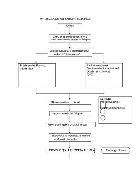 Schema: Managementul sarcinii ectopice (medicament vs. chirurgical)