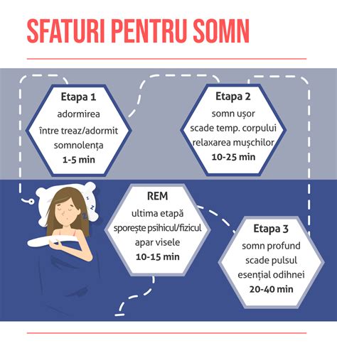 Schemă a ciclurilor de somn la nou-născuți