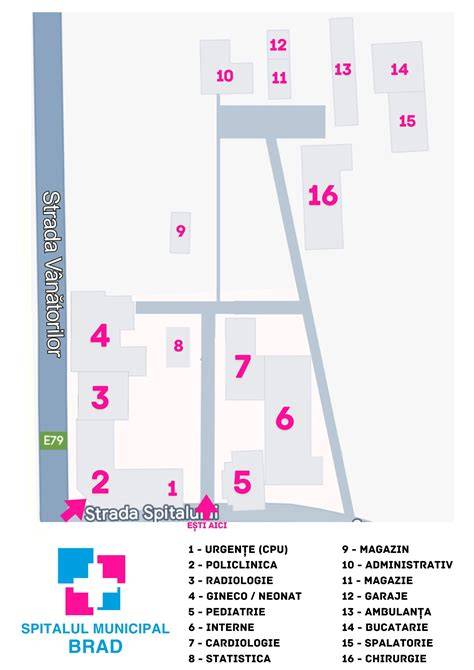 Infografic: Structura spitalului și secțiile sale