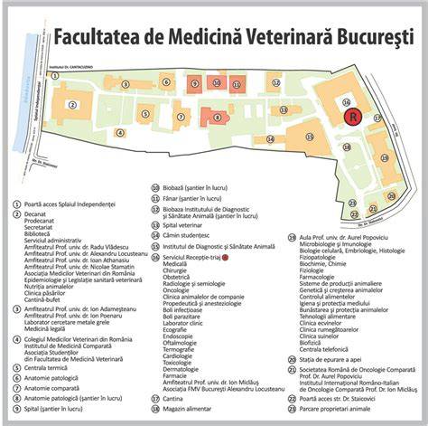 Schema inițială a Institutului Gregorian și legătura cu Facultatea de Medicină