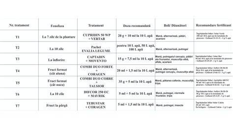 Schema procesului FIV: consultatie -> tratament -> fertilizare -> embriotransfer -> monitorizare sarcină