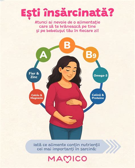 Schema cu nutrienții esențiali în sarcină