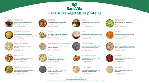 Infografic despre aportul de proteine în dietă