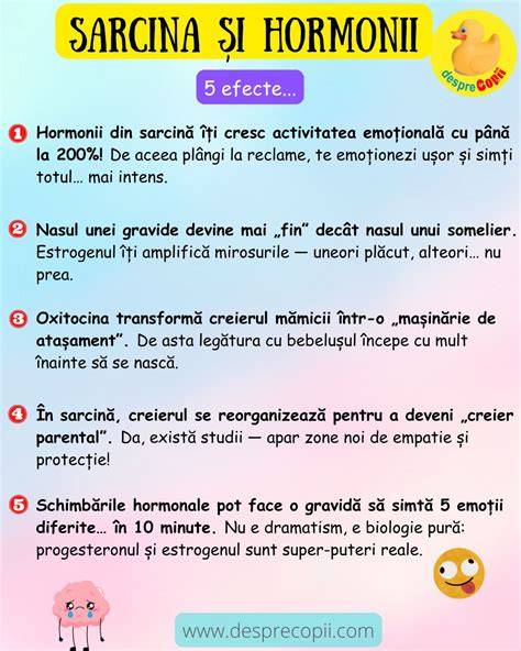 Diagramă: efectul hormonilor asupra corpului în sarcină