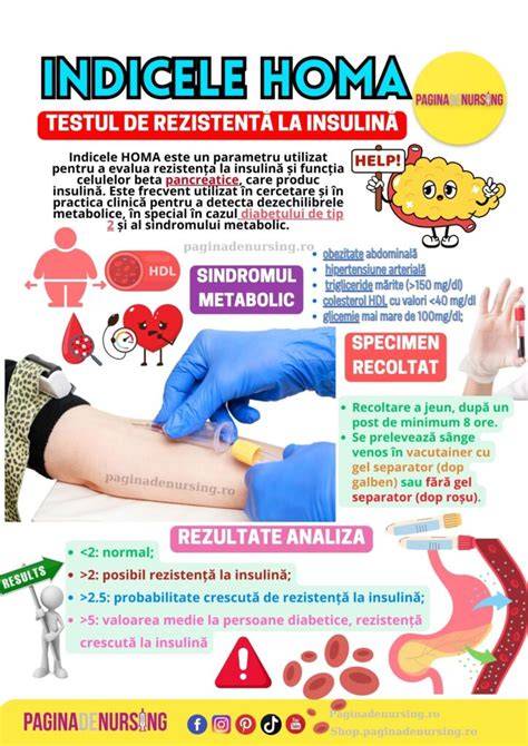 Infografic: mecanismele SOP (hiperandrogenism, rezistență la insulină, inflamație de grad scăzut)