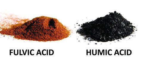 schemă: structura chimică a Shilajitului și principalele componente (acid fulvic, fulvic/humic acids, minerale)