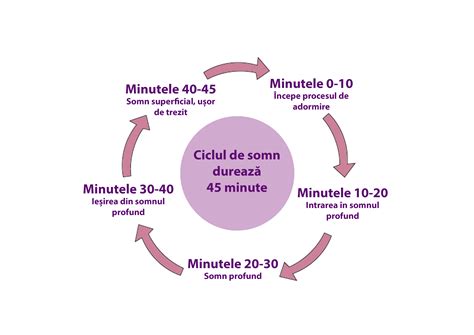 Schemă a ciclurilor de somn la bebeluși