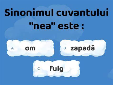 Infografic: Sinusoida semanticului cuvântului sarcină: sensuri, sinonime și contexte