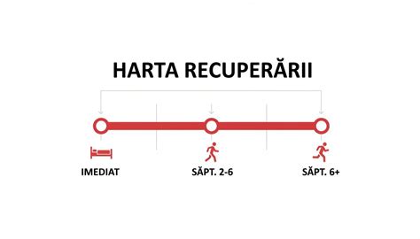 Schema: etapele recuperării postnatale și recomandări de activitate fizică