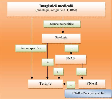 Infografic: Semnele clinice și algoritmul de diagnostic al colecistitei acute