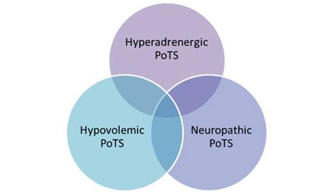Diagrama mecanismelor POTS: pooling venos, hipovolemie, hiperadrenergicitate