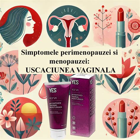 Infografic: Diferențiere între simptomele sarcinii, perimenopauzei și menopauzei