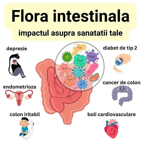 diagrama florei intestinale