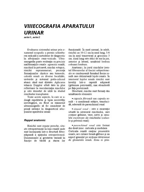 Infografic: Ecografia aparatului urinar - principii și organe vizualizate