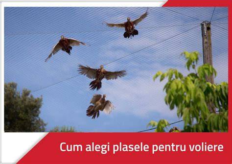 Vedere aeriană a unei voliere spațioase pentru păsări