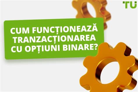 Diagramă: opțiuni contraceptive și cum funcționează