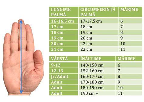 Infografie: Compozitia scutecelor pentru adulti si cum sa alegi marimea potrivita