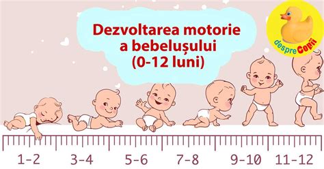 Schema etapelor de dezvoltare motorie a bebelușului