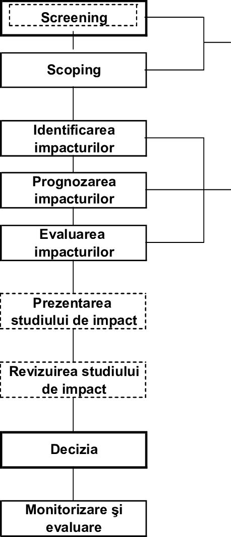 Schema procedurală a amniocentezei transabdominale