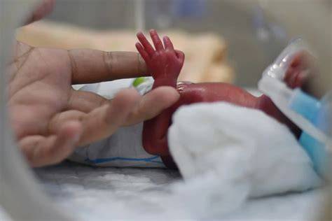 scutec-preemie-incubator