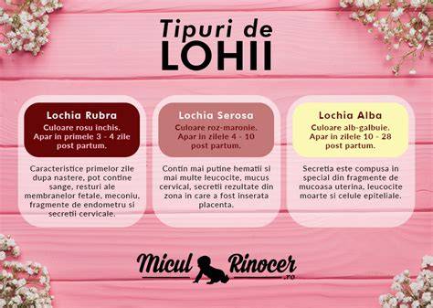 Infografic etape lohii dupa nastere