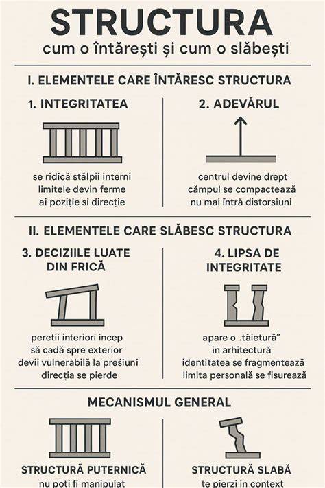 Infografic: Structura stratului Dermacomfort și mecanismul de absorbție