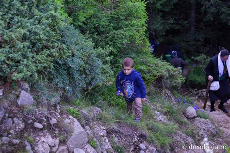 copil urcând scări