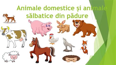 Ilustrație cu diverse animale sălbatice și domestice