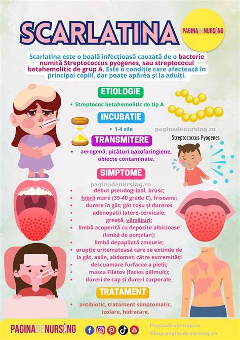 Infografic: ciclu de transmitere si tratament în scarlatină