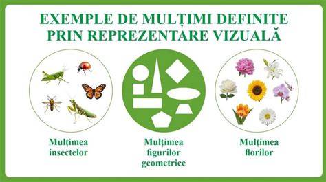 Reprezentare vizuală a etapelor diversificării 7-12 luni