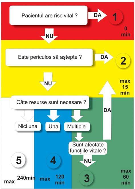 Diagramă algoritm triaj sângerare în sarcină