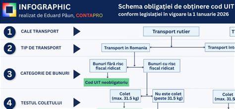 Schema pași diagnostic sângerare în sarcină