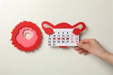 Infografie: etapele menopauzei si markerii hormonali