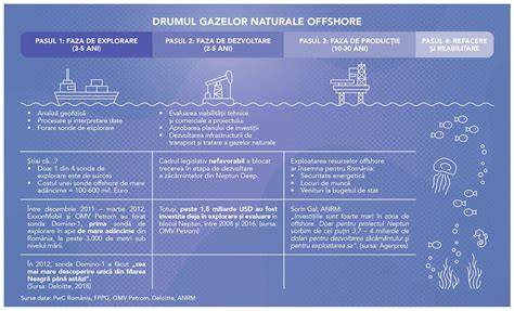 Infografic: Mecanismele formării gazelor la sugari